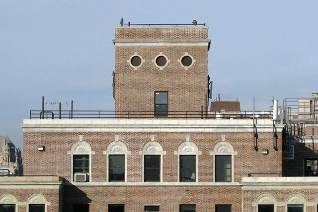 Two redtailed hawks perched atop a building